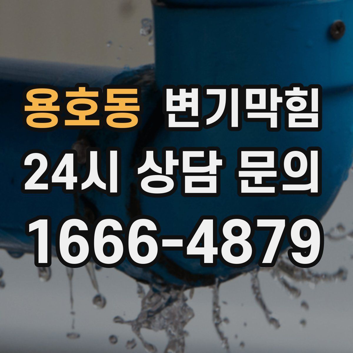 용호동 변기막힘