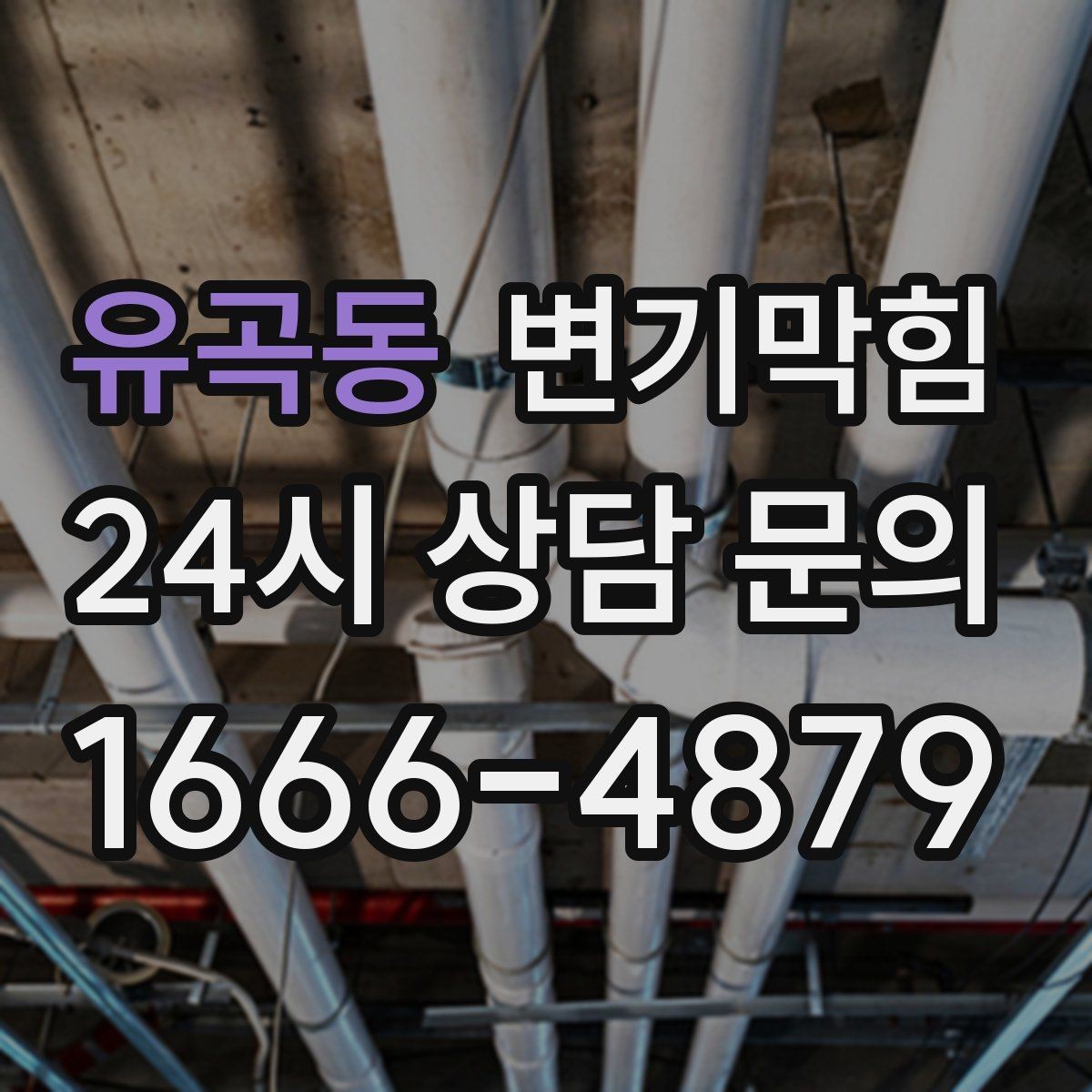유곡동 변기막힘 미용실 변기뚫기 헤어 잔사 무잔여 마감