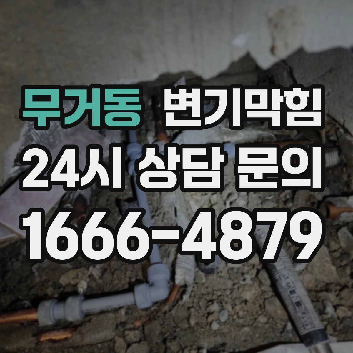 무거동 변기막힘