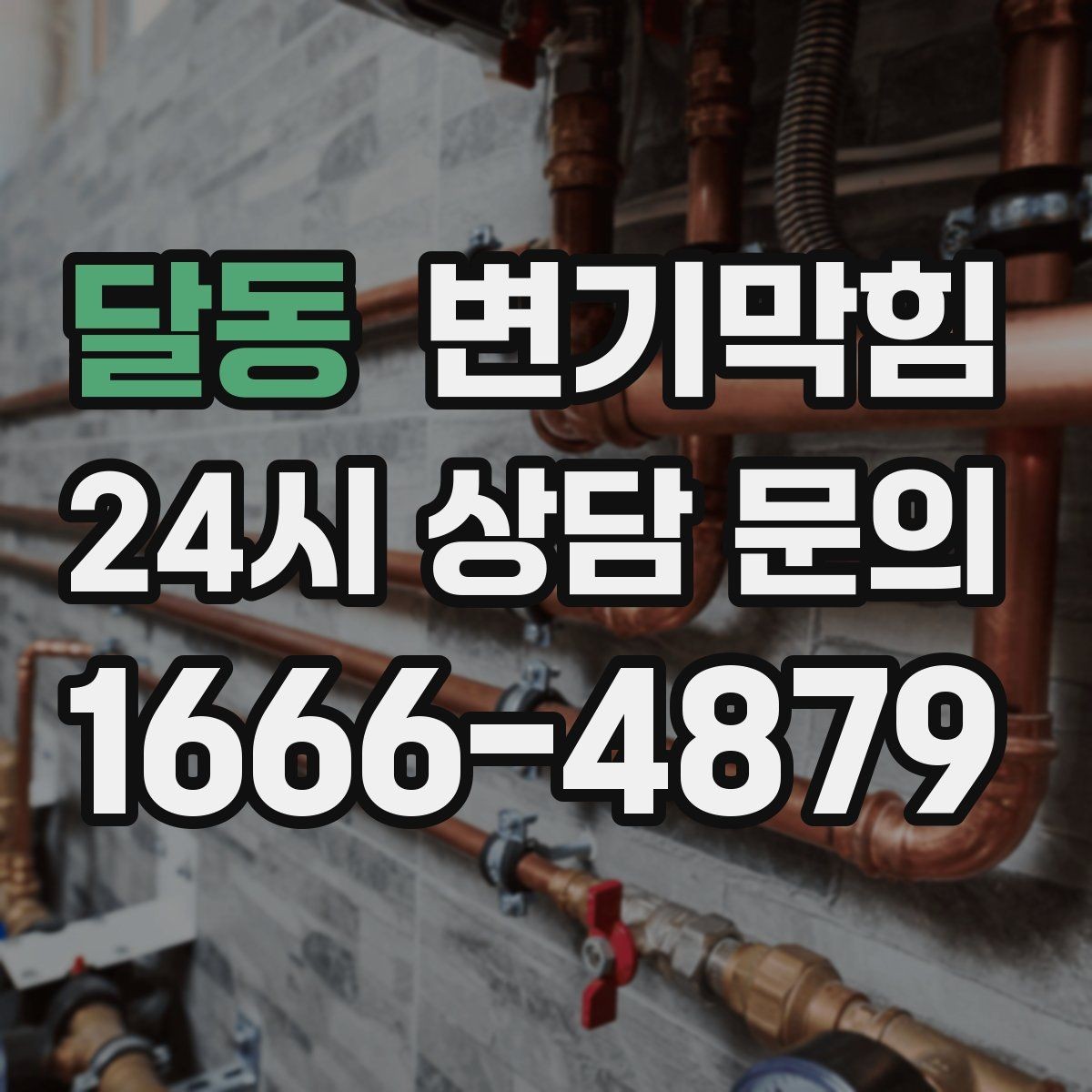 달동 변기막힘 다가구 화장실역류 도면 없이 빠른 진단