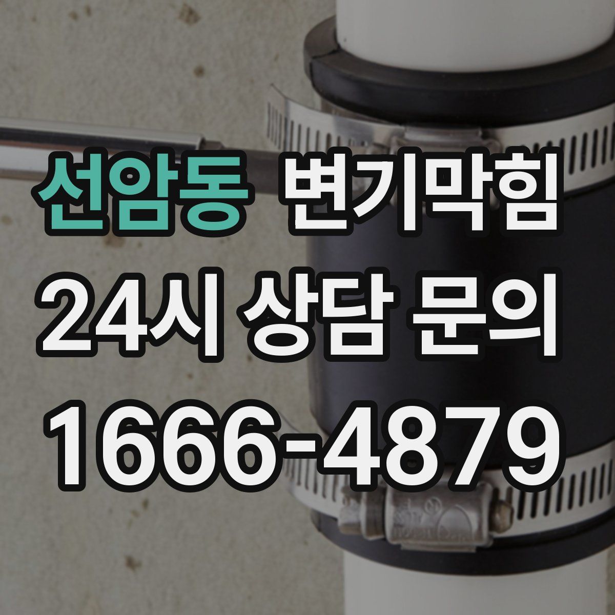 선암동 변기막힘