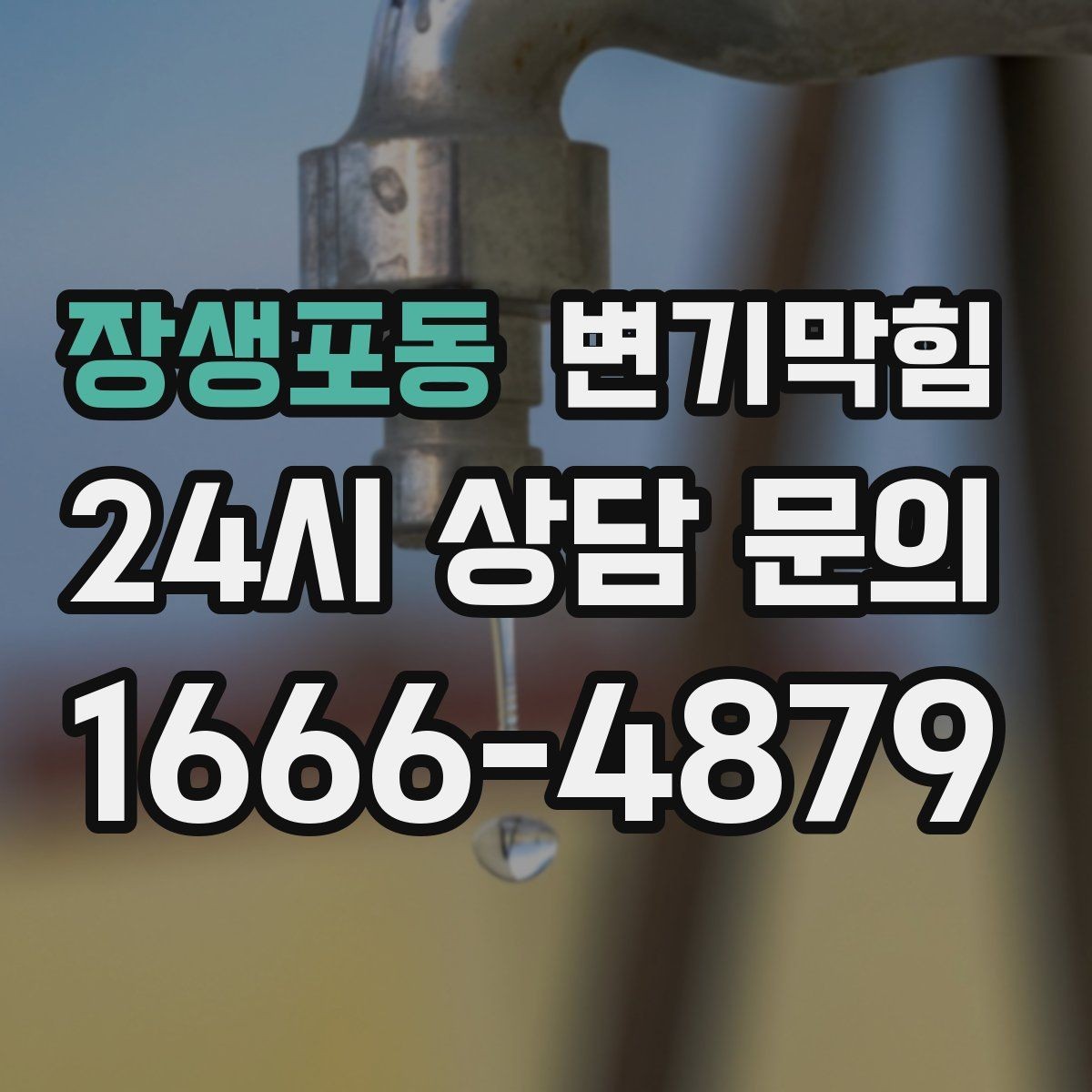 장생포동 변기막힘 다가구 배수구막힘 역류 냄새 차단