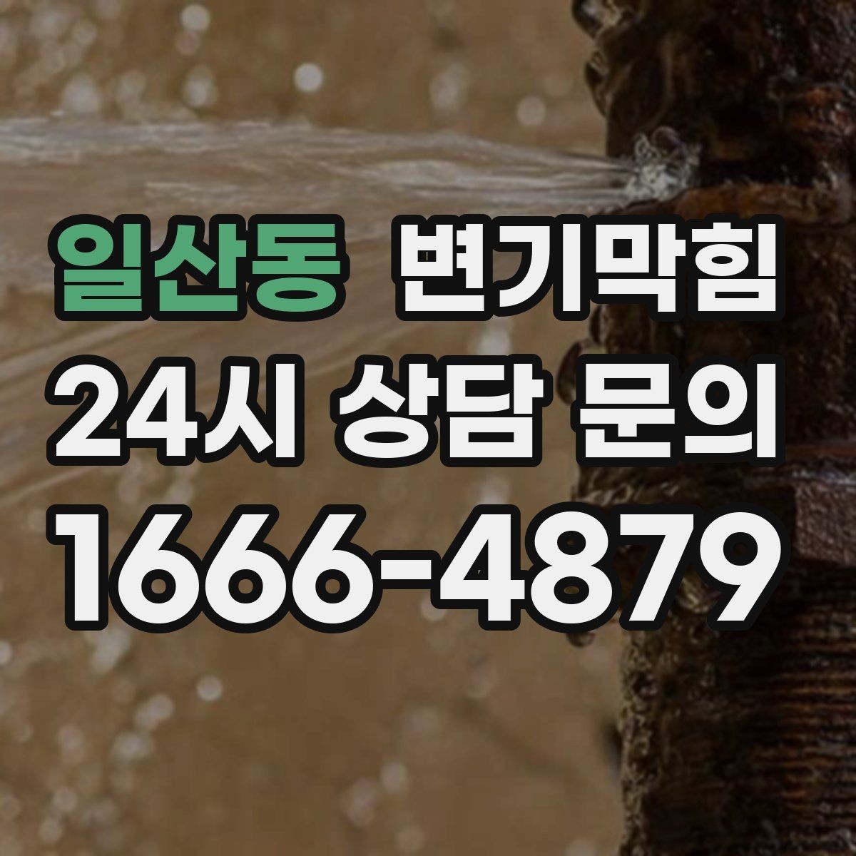 일산동 변기막힘 식당 화장실역류 합류 압력 재세팅
