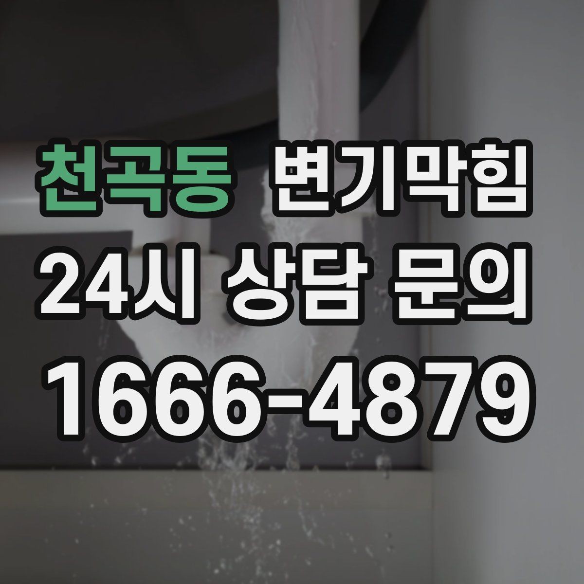 천곡동 변기막힘 사무실 배수구막힘 점심 전 복구