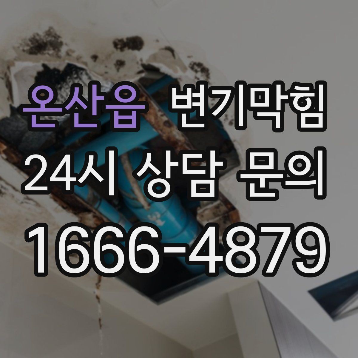 온산읍 변기막힘 카페 배수구막힘 오픈 전 1시간 솔루션