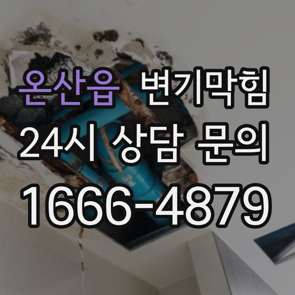 온산읍 변기막힘