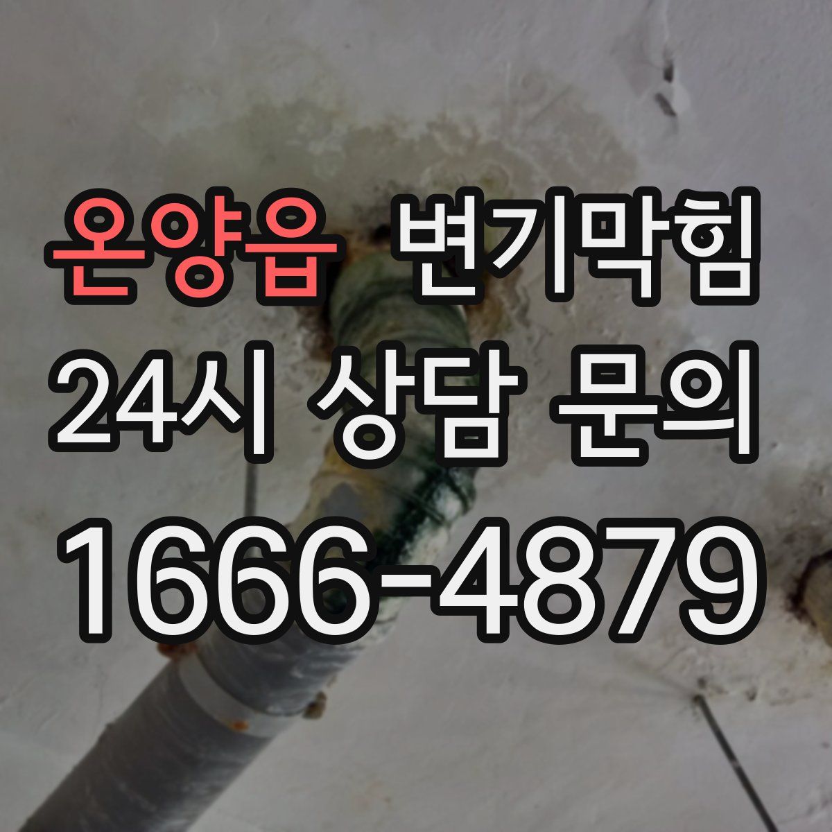 온양읍 변기막힘