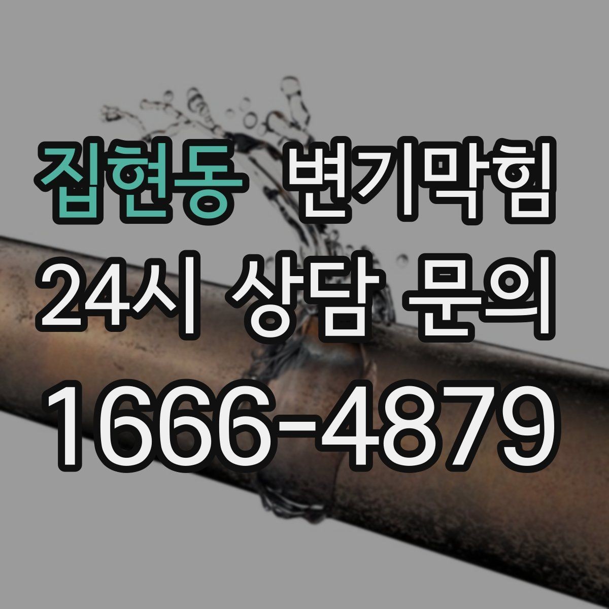 집현동 변기막힘 카페 화장실역류 향 유지 복구