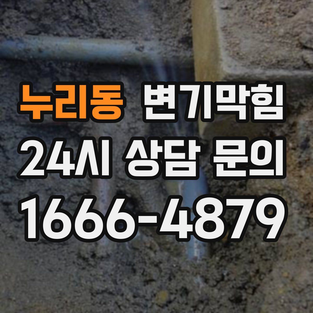 누리동 변기막힘