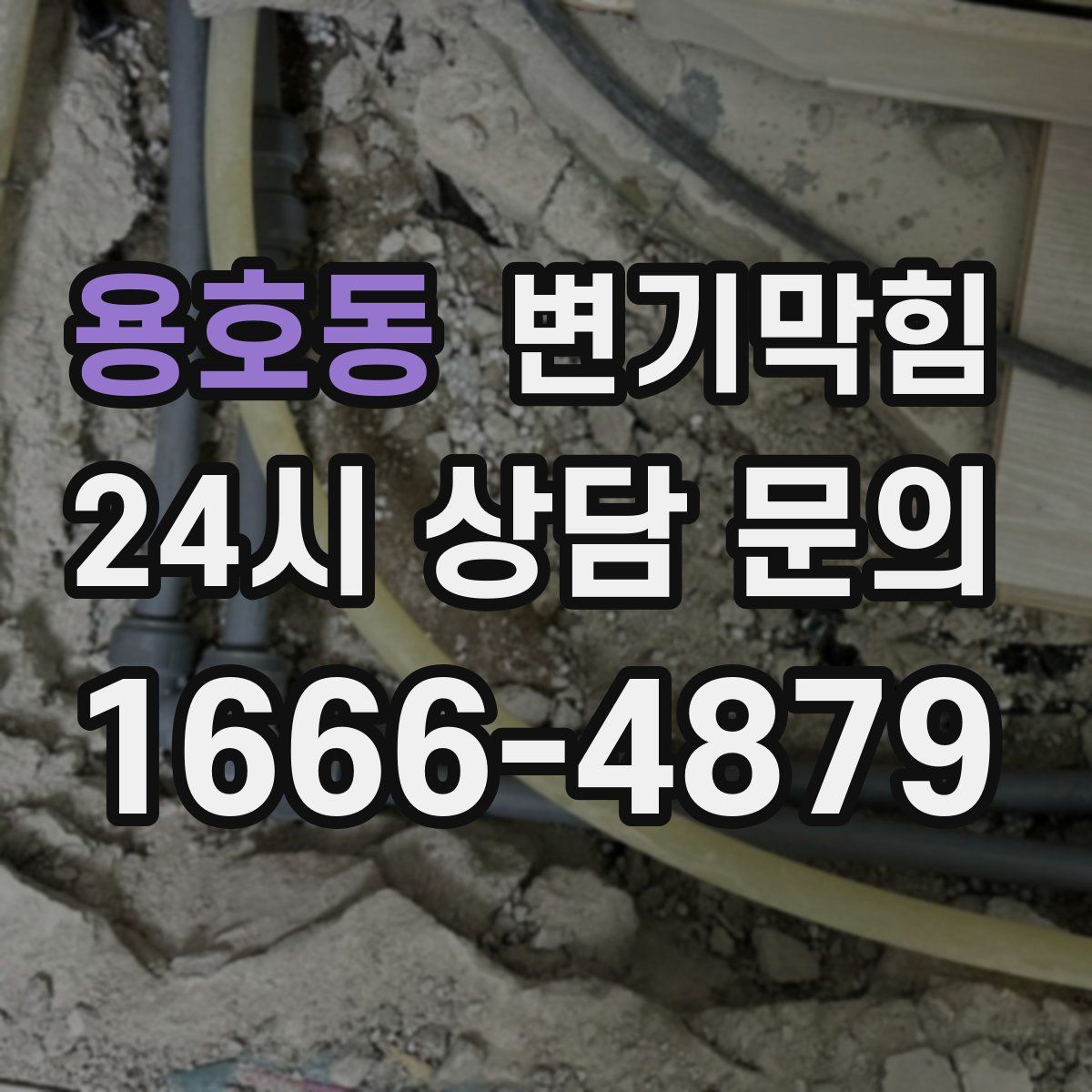 용호동 변기막힘