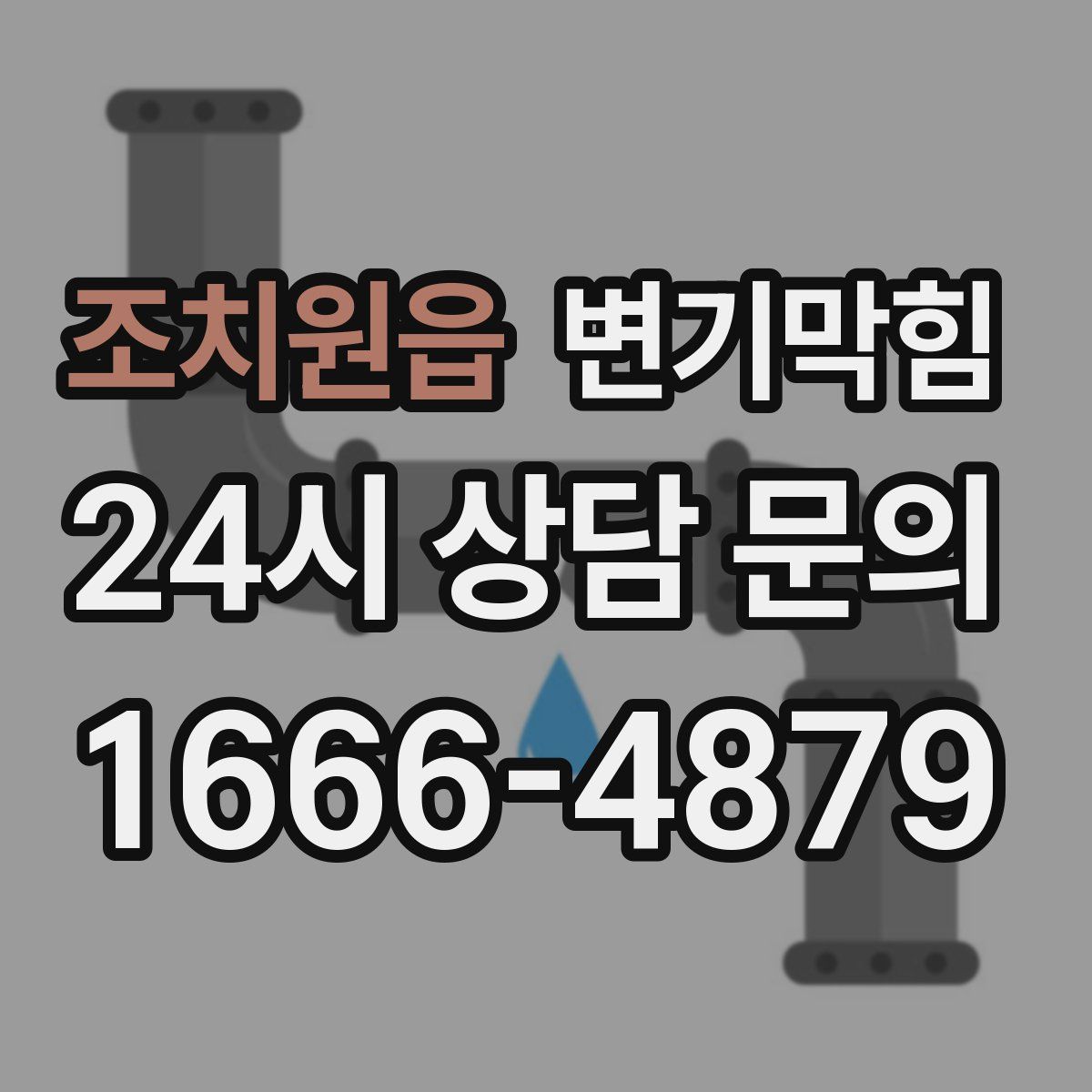 조치원읍 변기막힘