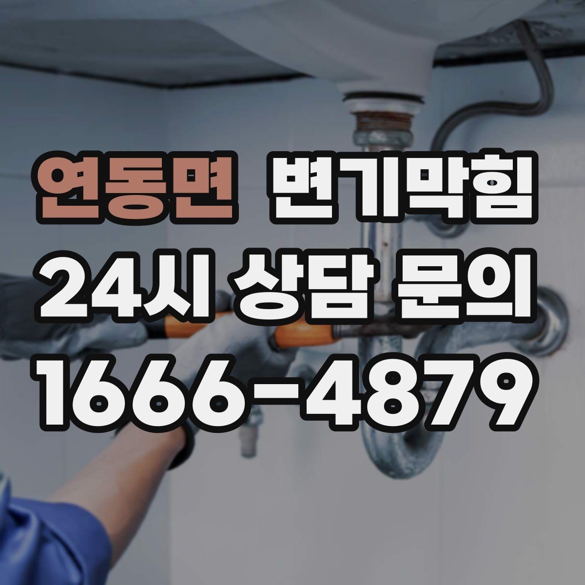 연동면 변기막힘 상가 화장실역류 출근 전 복구 완료