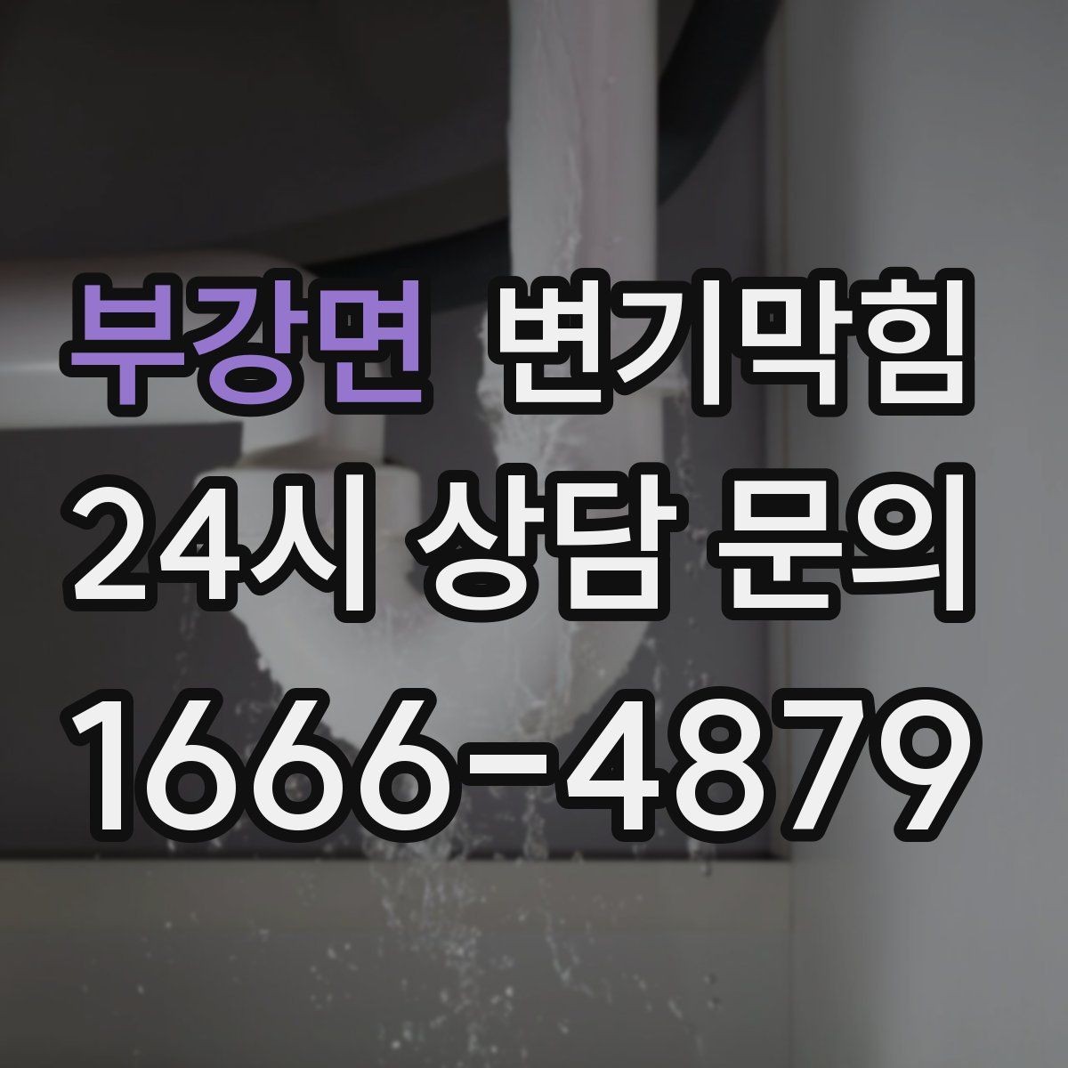 부강면 변기막힘 카페 화장실역류 향 보존 복구기