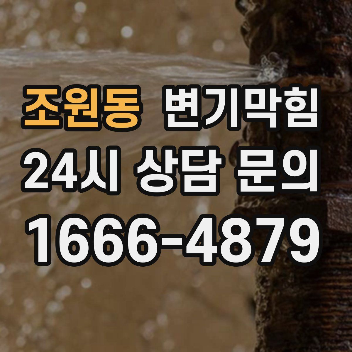 조원동 변기막힘