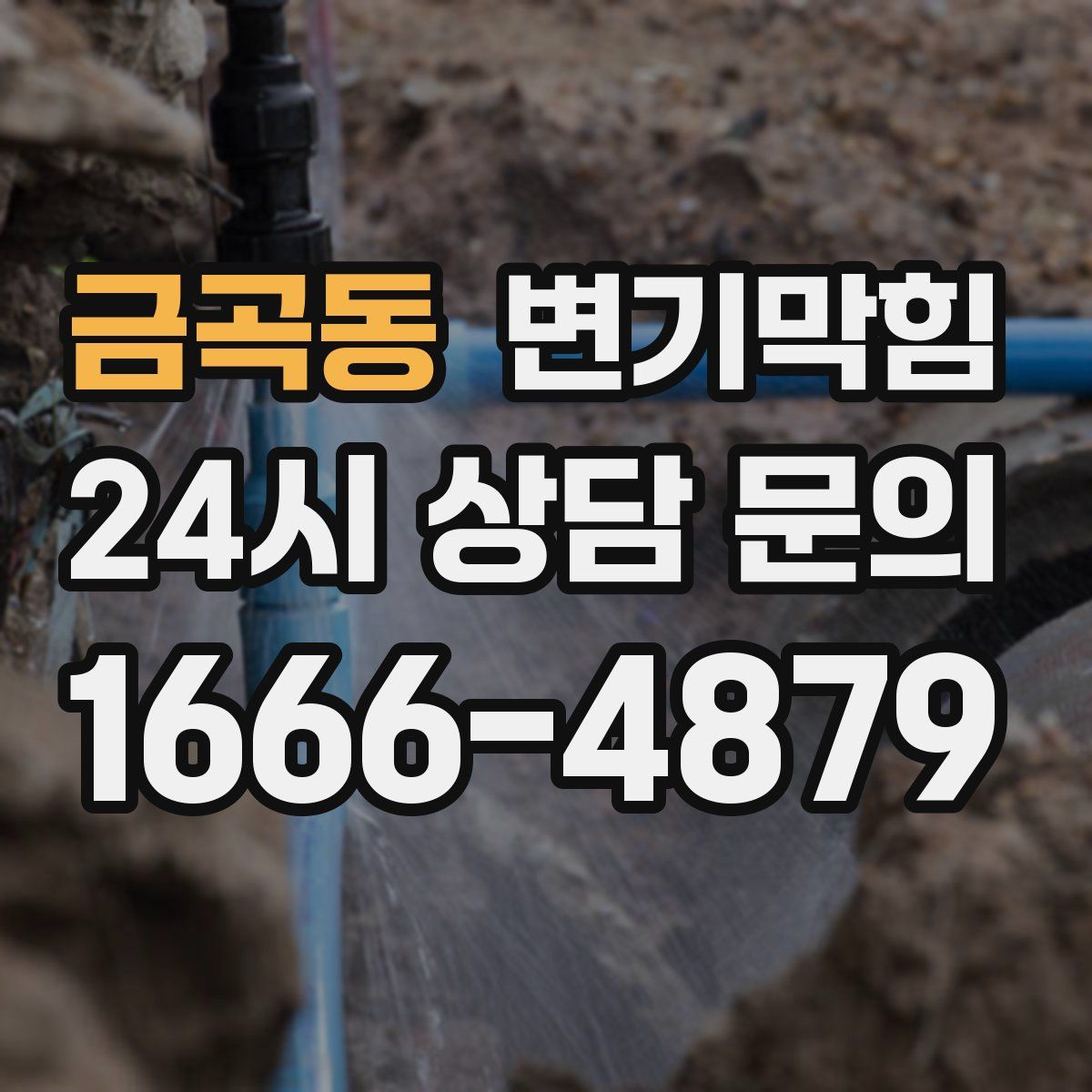 금곡동 변기막힘