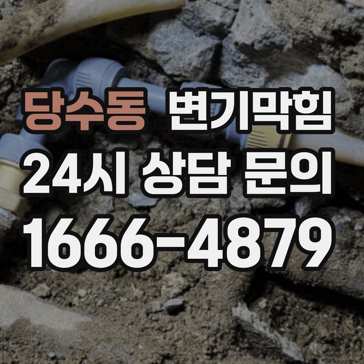 당수동 변기막힘 식당 화장실역류 재발 없는 마감