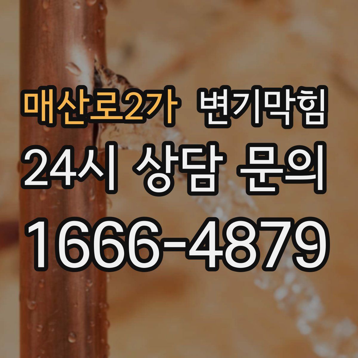 매산로2가 변기막힘