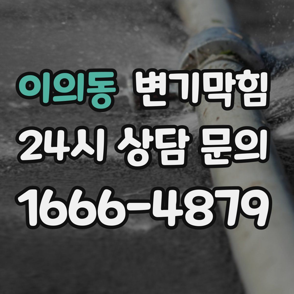 이의동 변기막힘