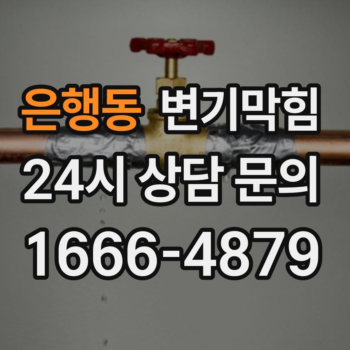 은행동 변기막힘