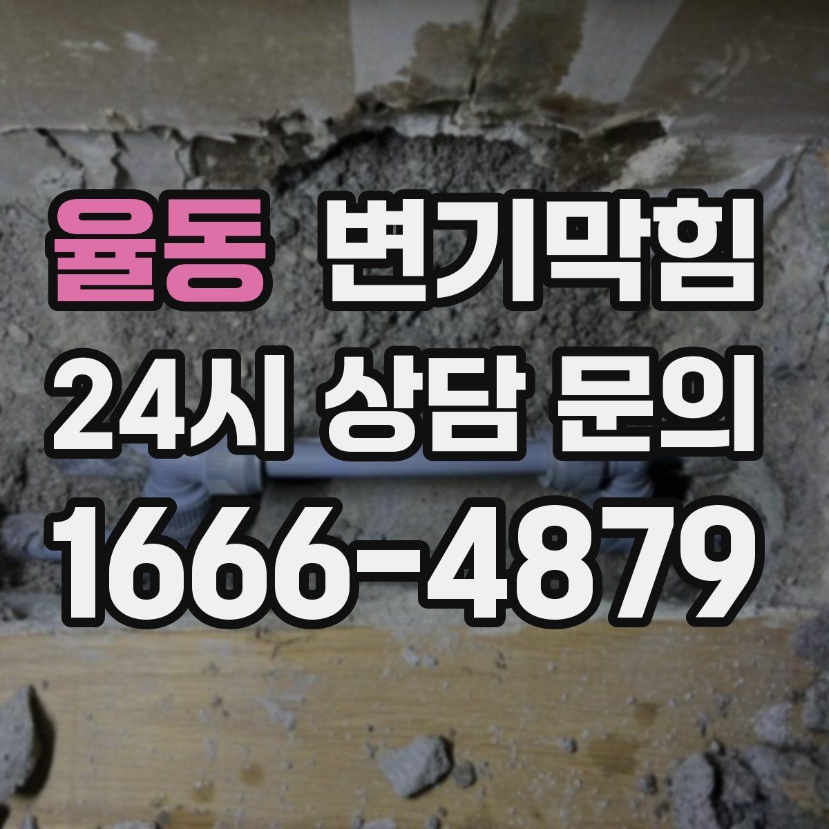 율동 변기막힘 변기막혔을때 세탁실 배수 연동 확인