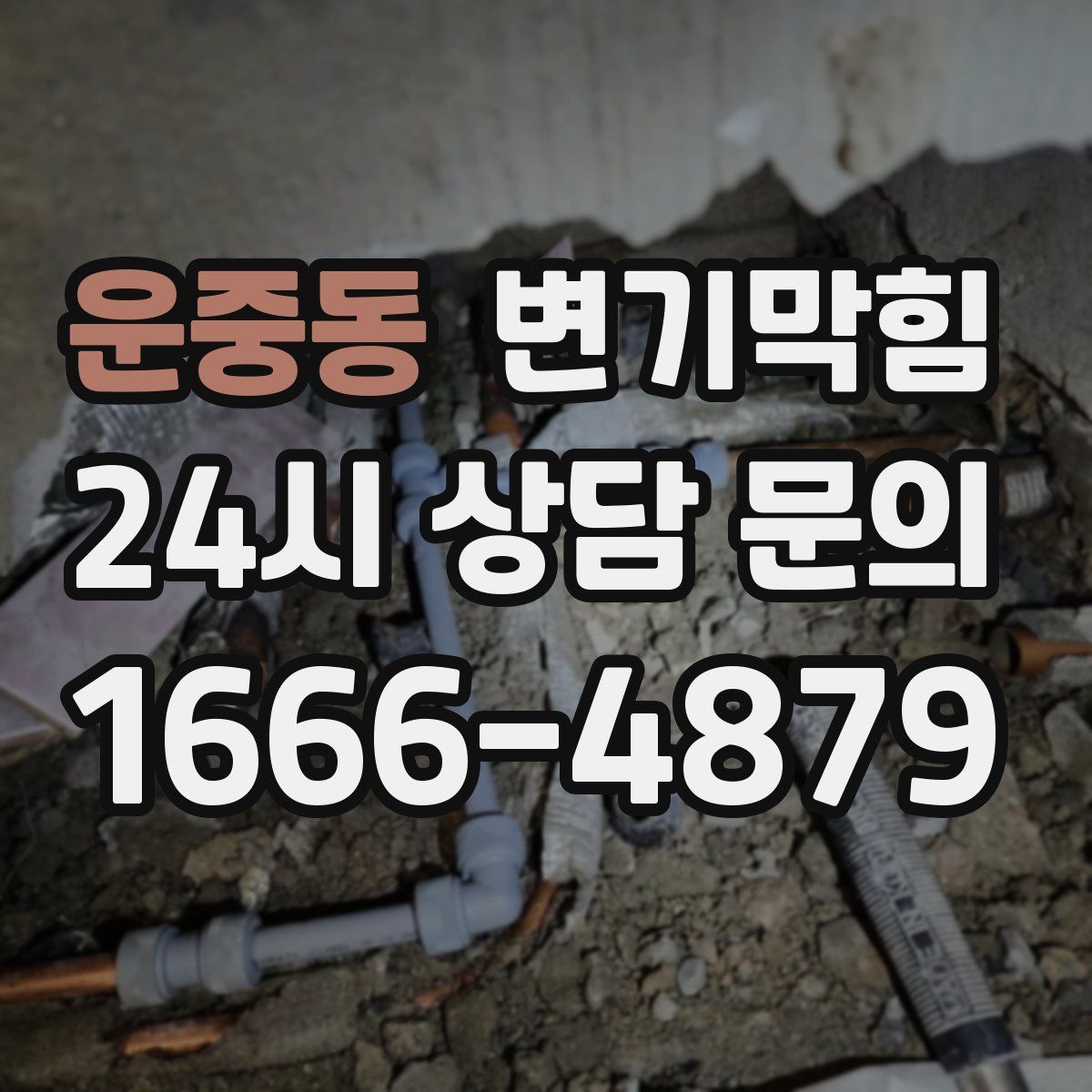 운중동 변기막힘