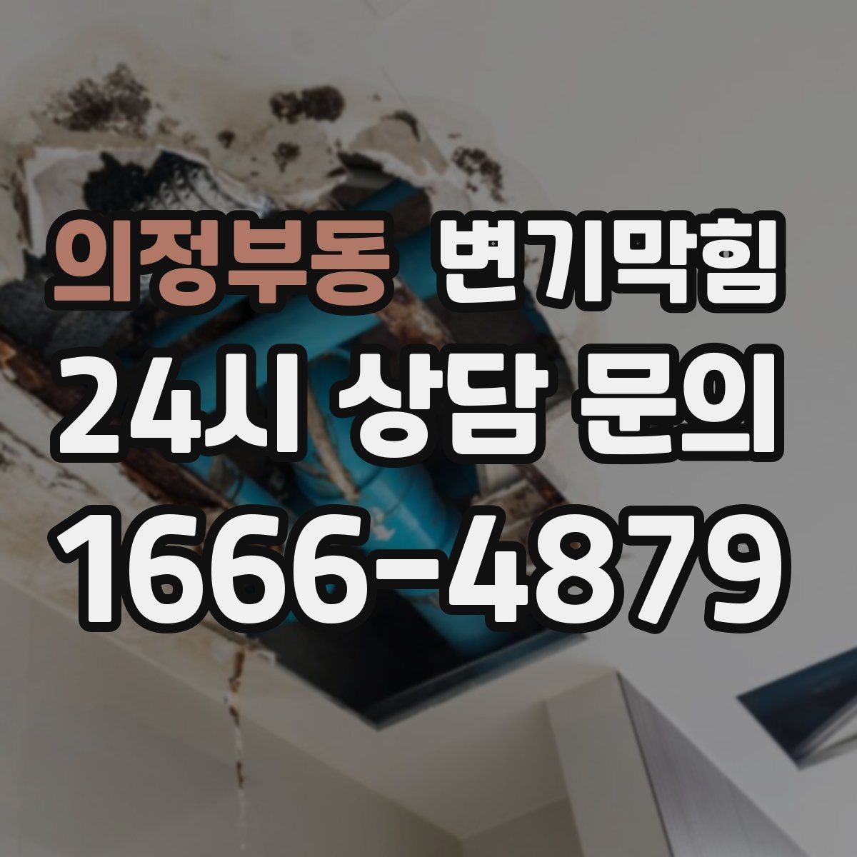 의정부동 변기막힘 상가 화장실뚫기 무향 소독 마감
