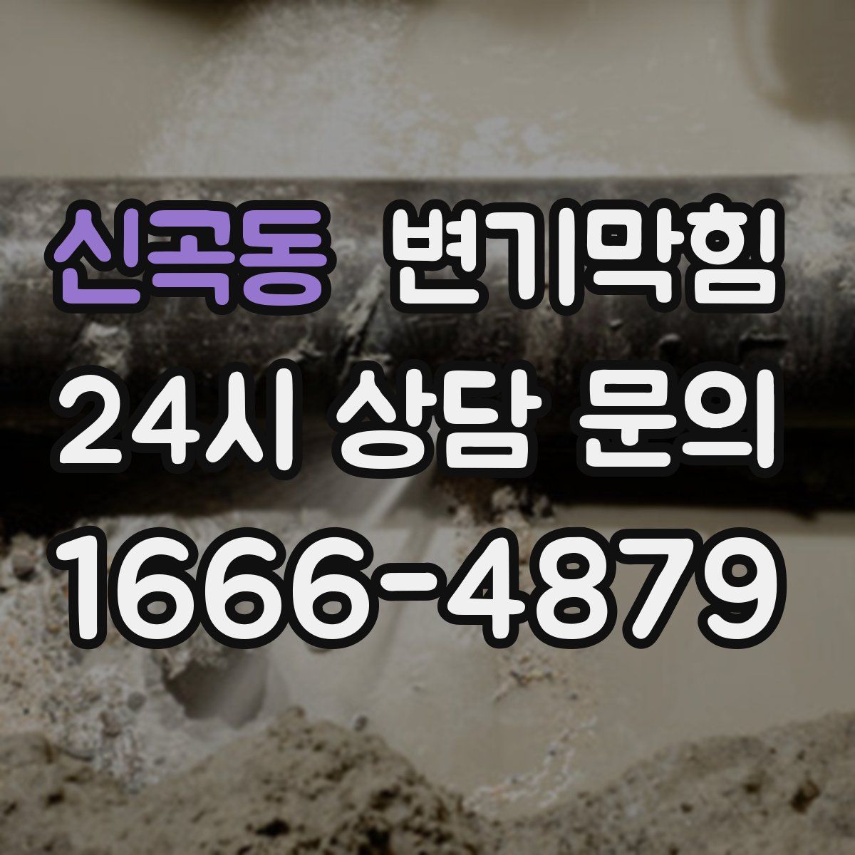 신곡동 변기막힘