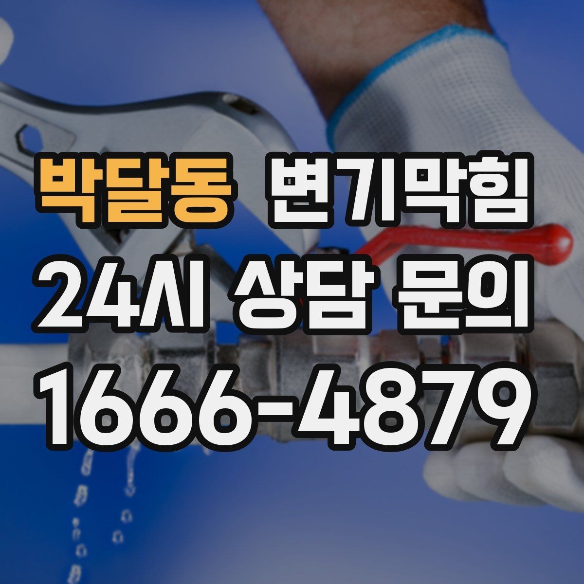 박달동 변기막힘 미용실 화장실역류 드레인 캡 안전 회수