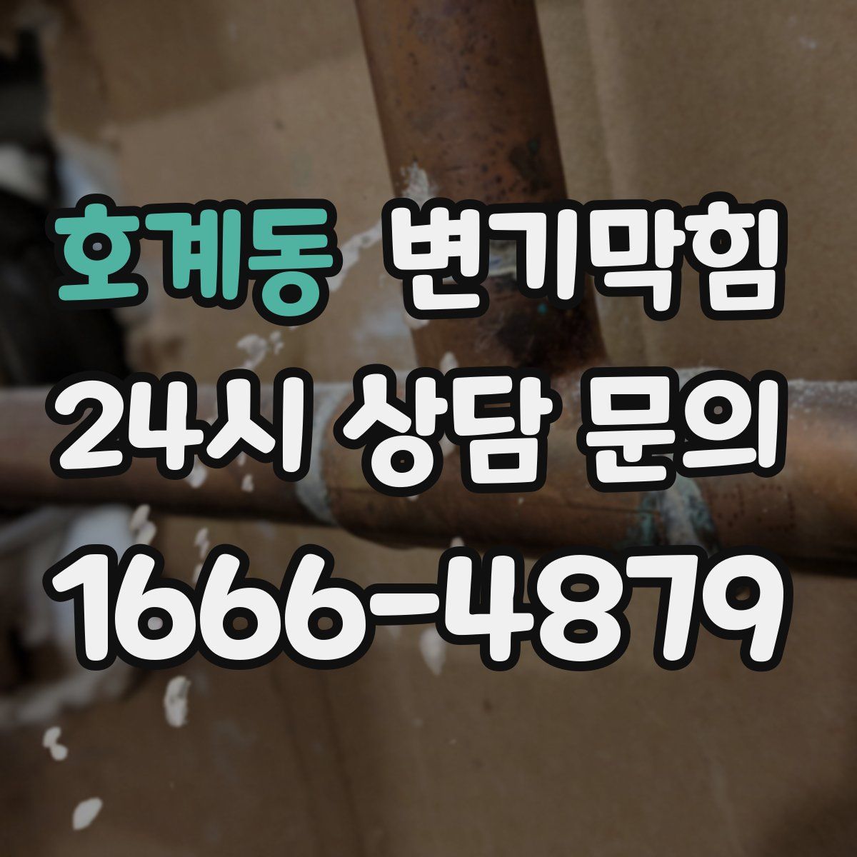 호계동 변기막힘