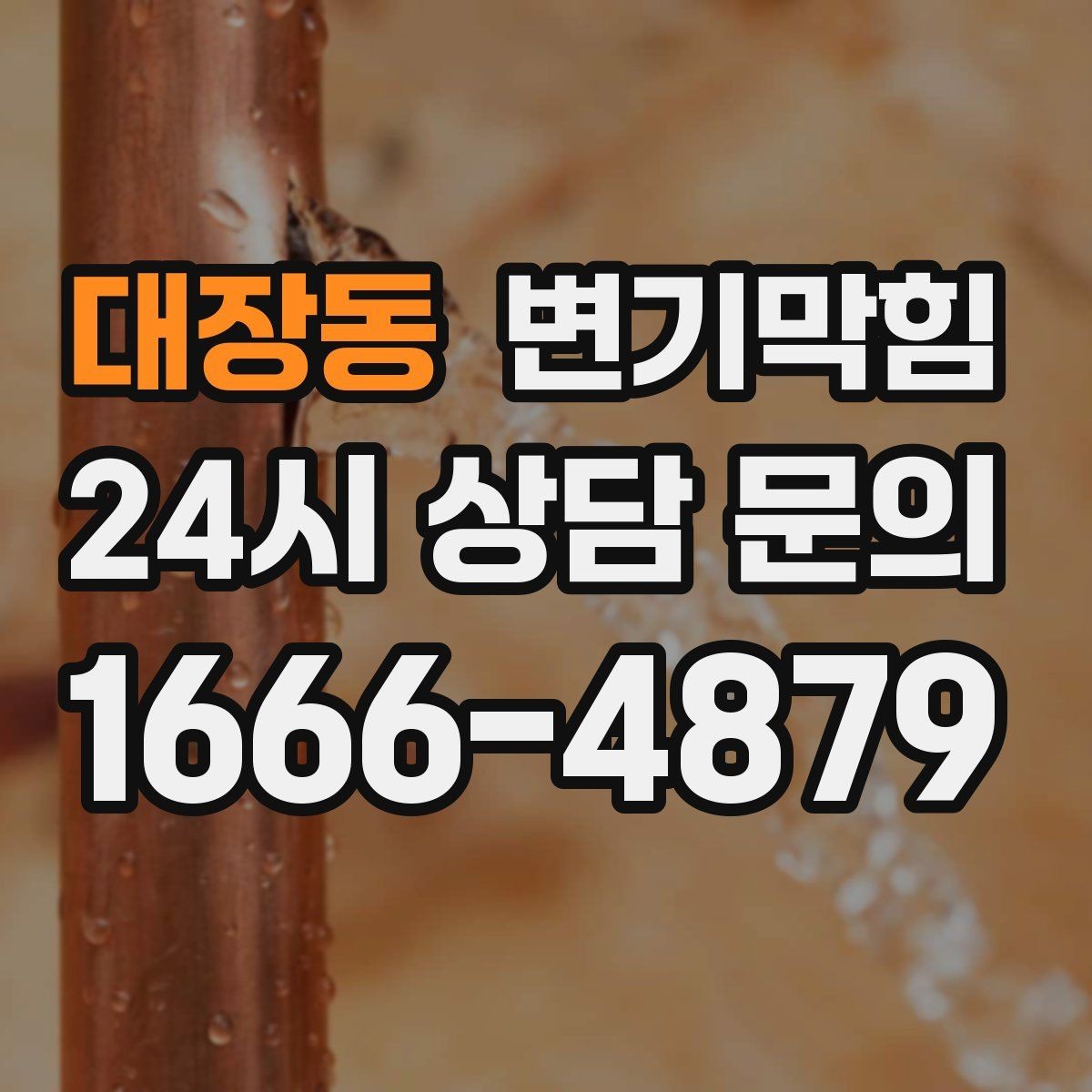대장동 변기막힘 사무실 배수구막힘 점심 러시 전 완료