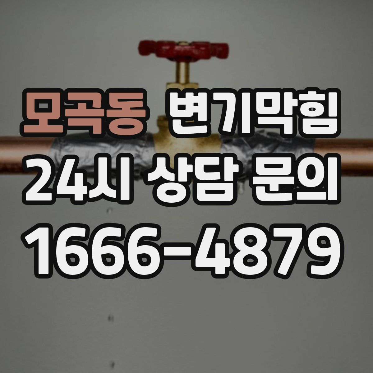 모곡동 변기막힘