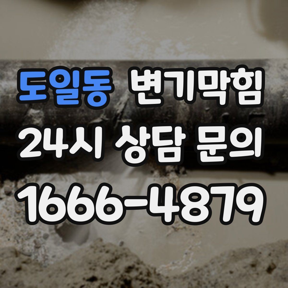 도일동 변기막힘 카페 배수구막힘 악취 잡은 사례