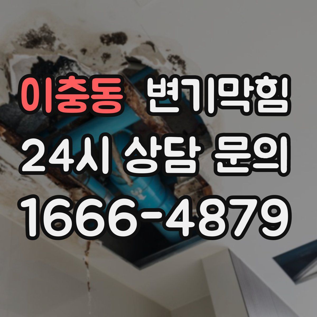 이충동 변기막힘