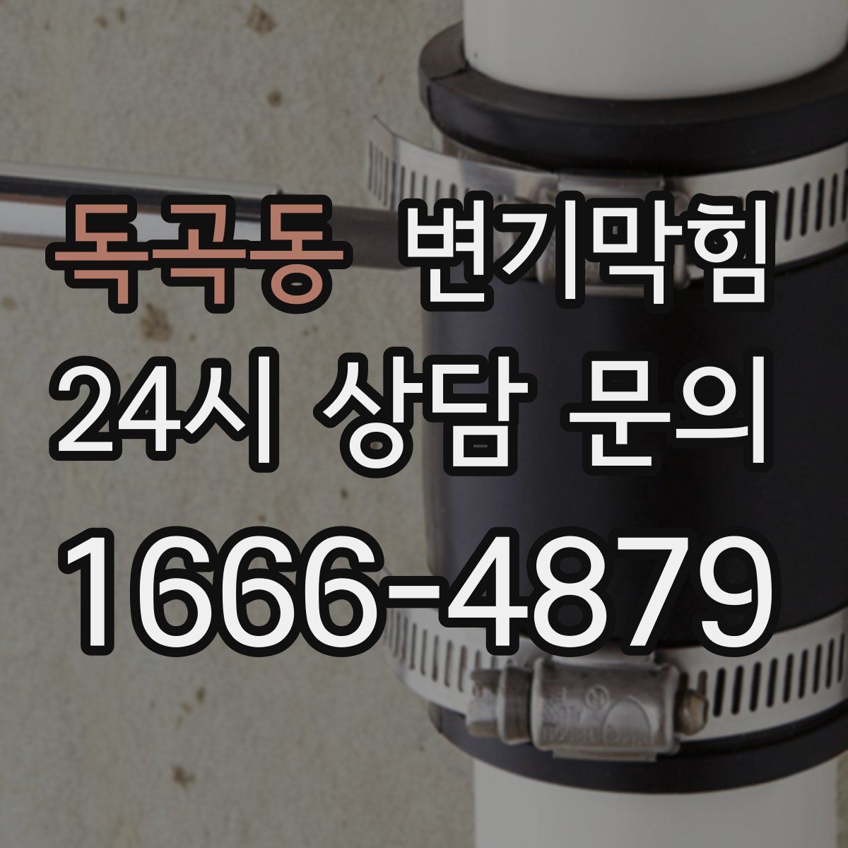 독곡동 변기막힘