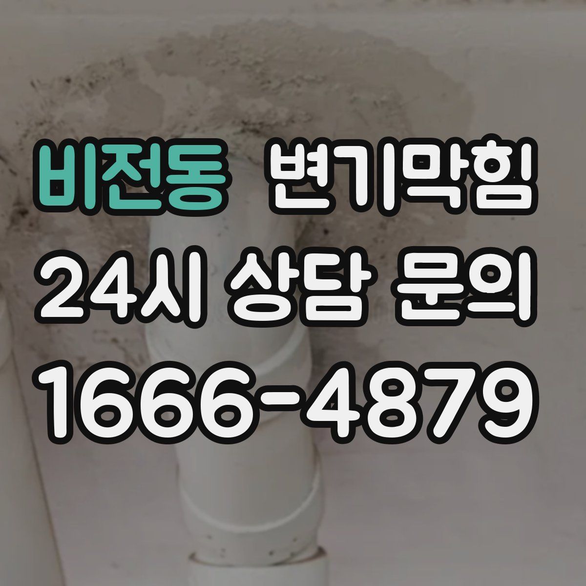 비전동 변기막힘