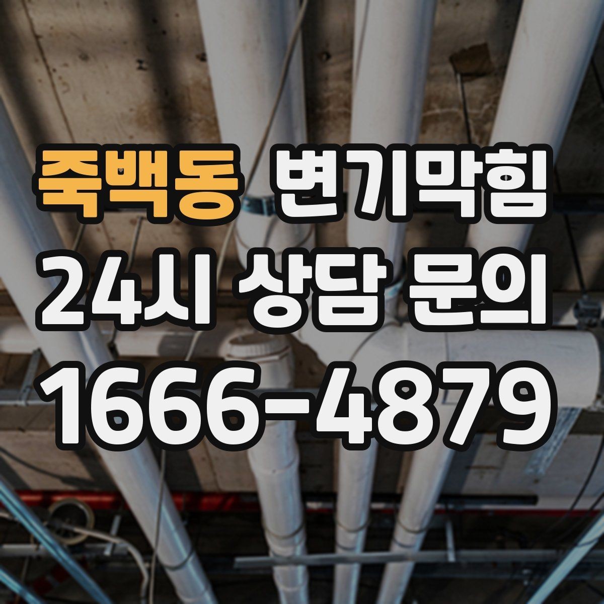 죽백동 변기막힘 상가 화장실막힘 고객 동선 분리 운영