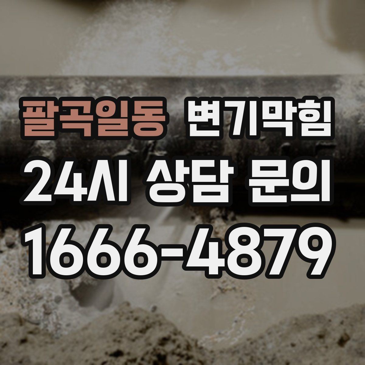 팔곡일동 변기막힘 카페 화장실역류 향 유지 복구