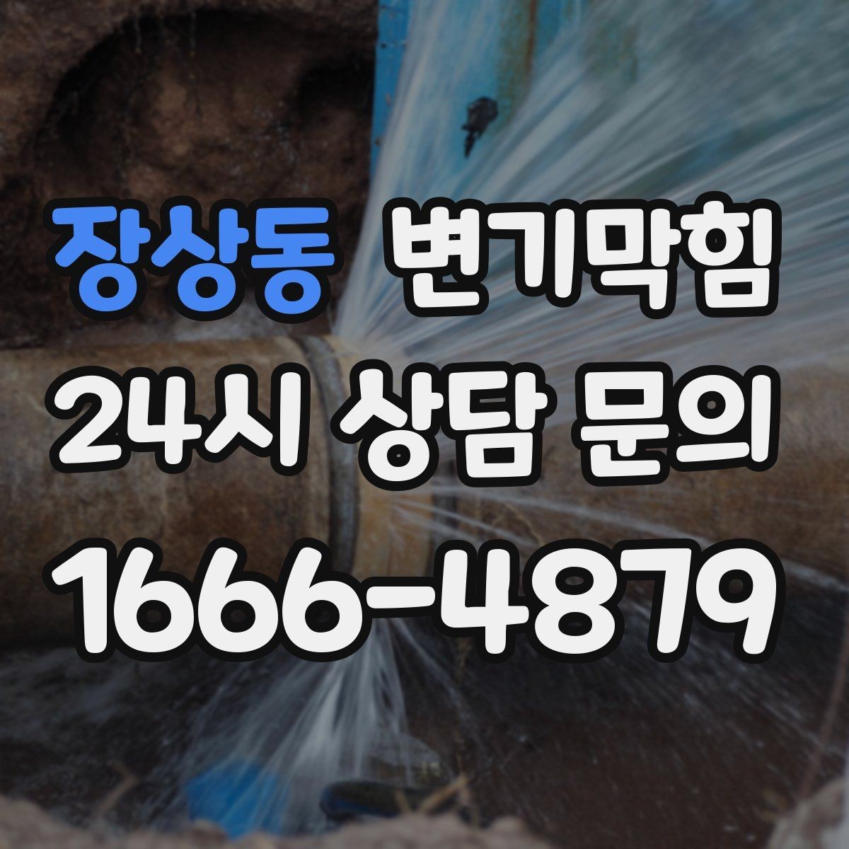 장상동 변기막힘 단독 화장실뚫기 수봉 회복 마감