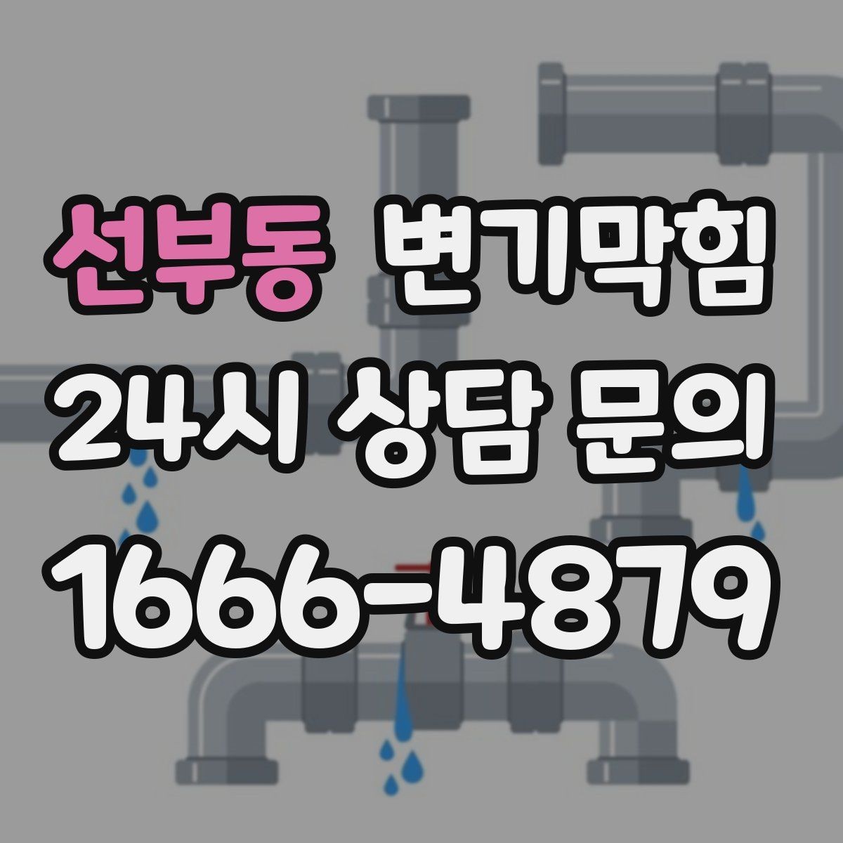 선부동 변기막힘 뚫어뻥 소독과 건조 후 보관하는 법