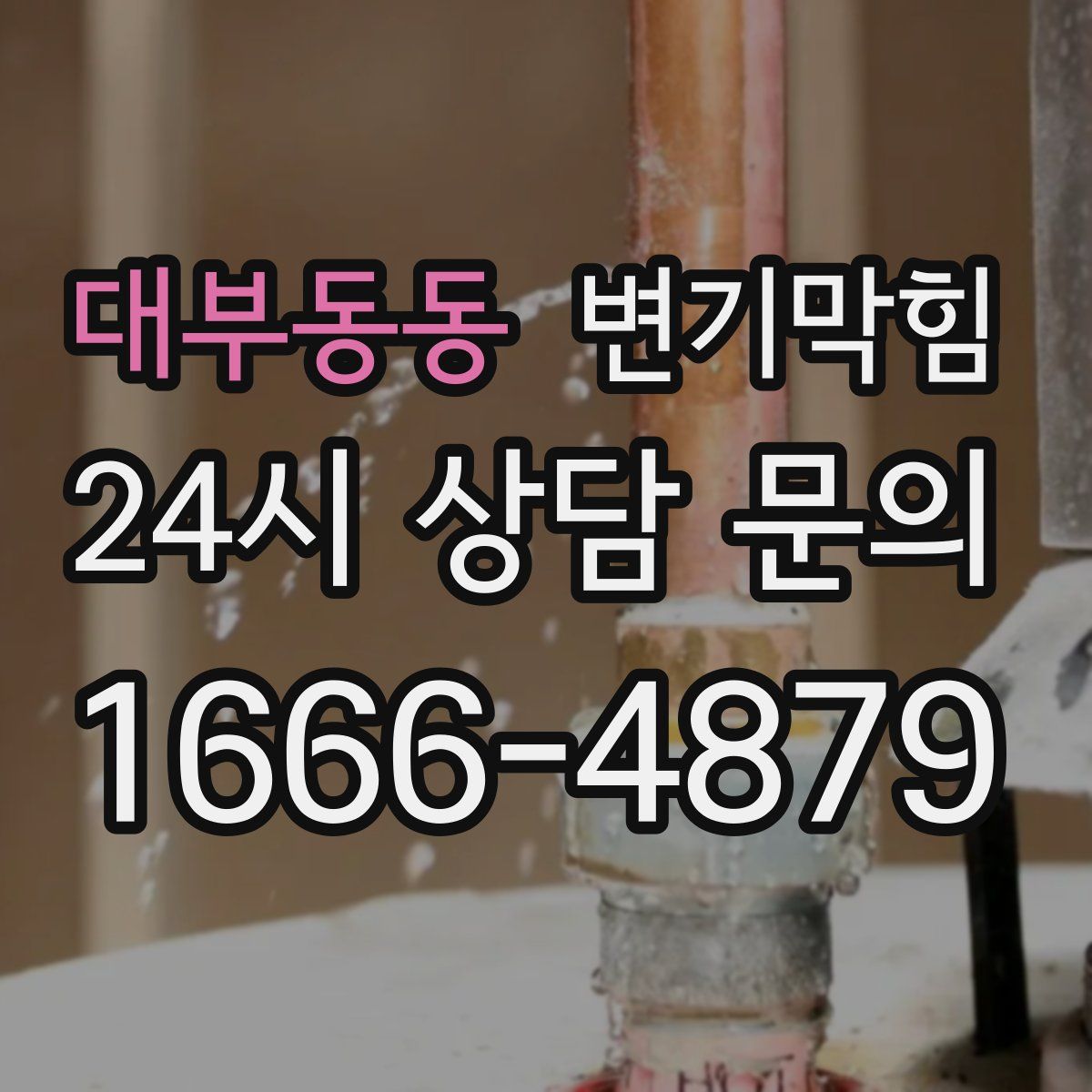 대부동동 변기막힘