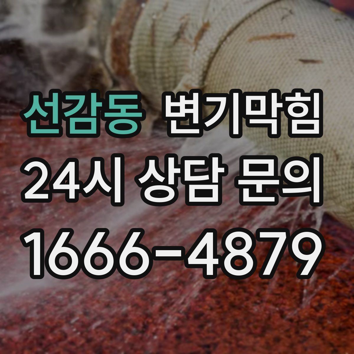 선감동 변기막힘 사무실 배수구막힘 점심 전 복구