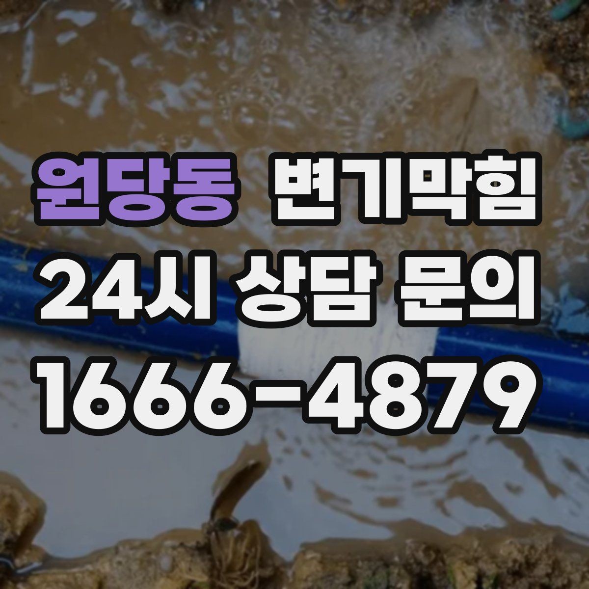 원당동 변기막힘 사무실 배수구막힘 회의 직전 15분 해결