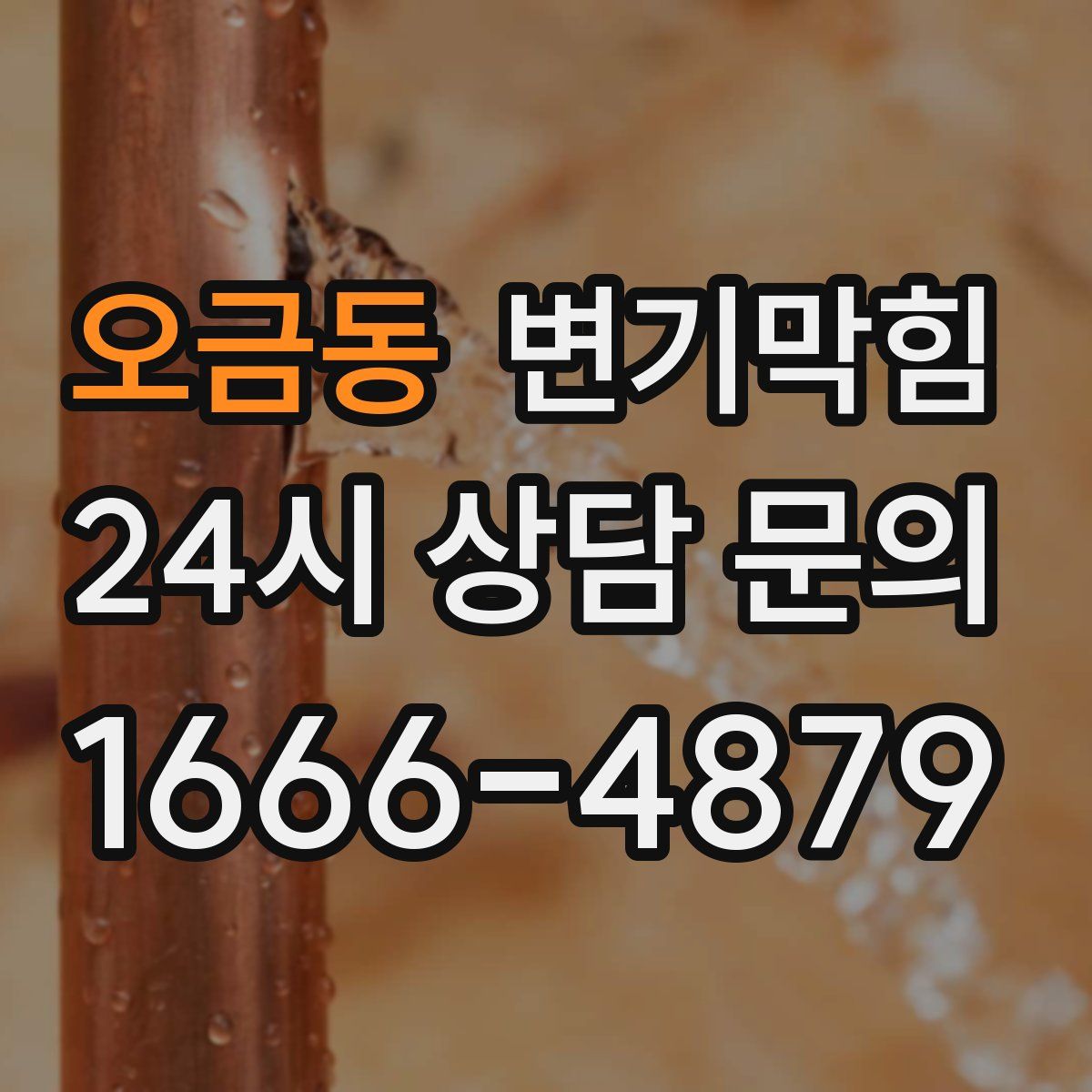 오금동 변기막힘