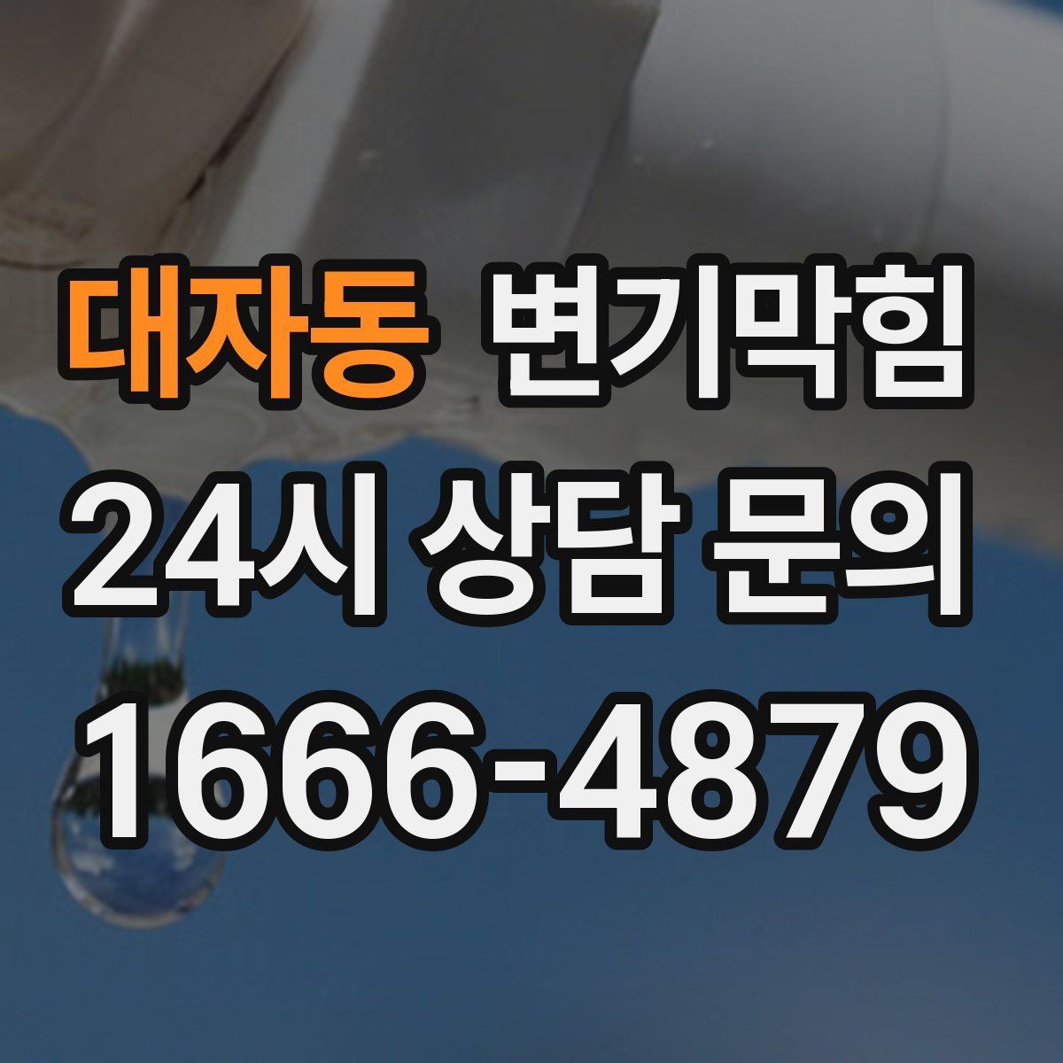 대자동 변기막힘