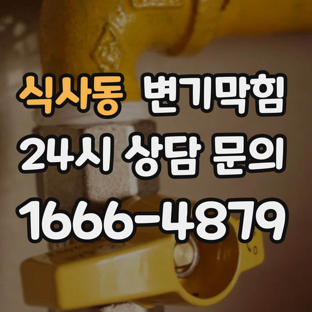 식사동 변기막힘