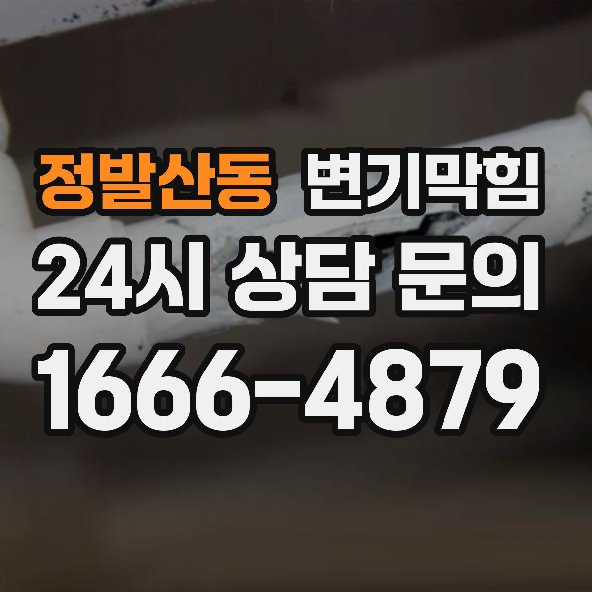 정발산동 변기막힘 카페 배수구막힘 거품 잔재 제거