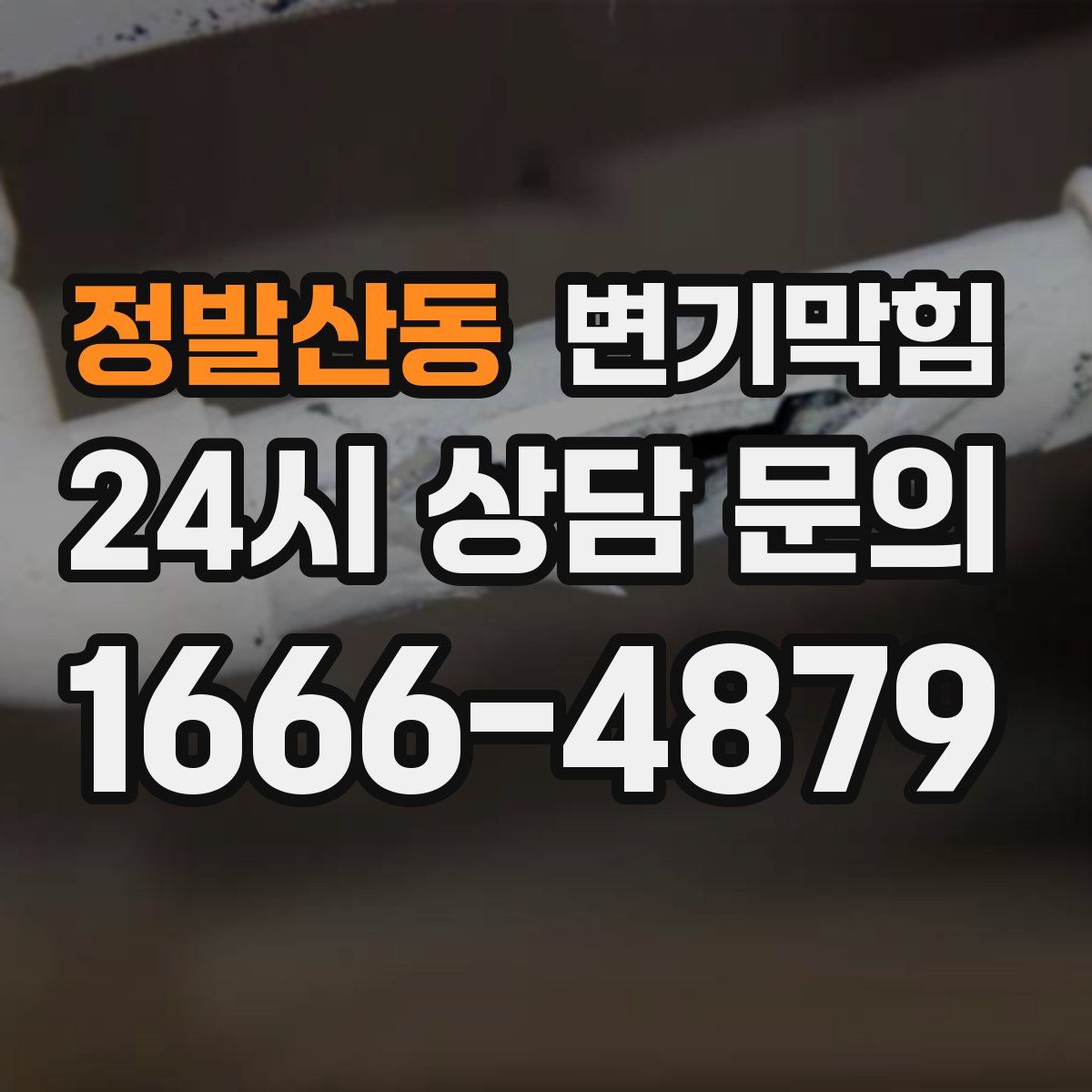 정발산동 변기막힘