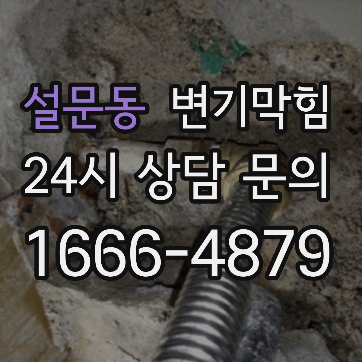 설문동 변기막힘 사무실 배수구막힘 회의 전 신속 완료