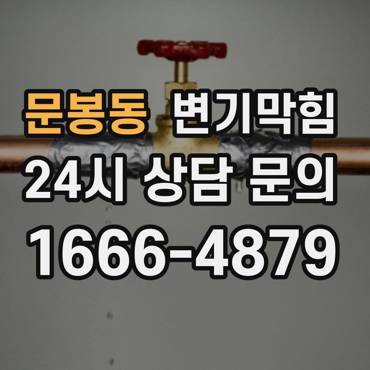 문봉동 변기막힘