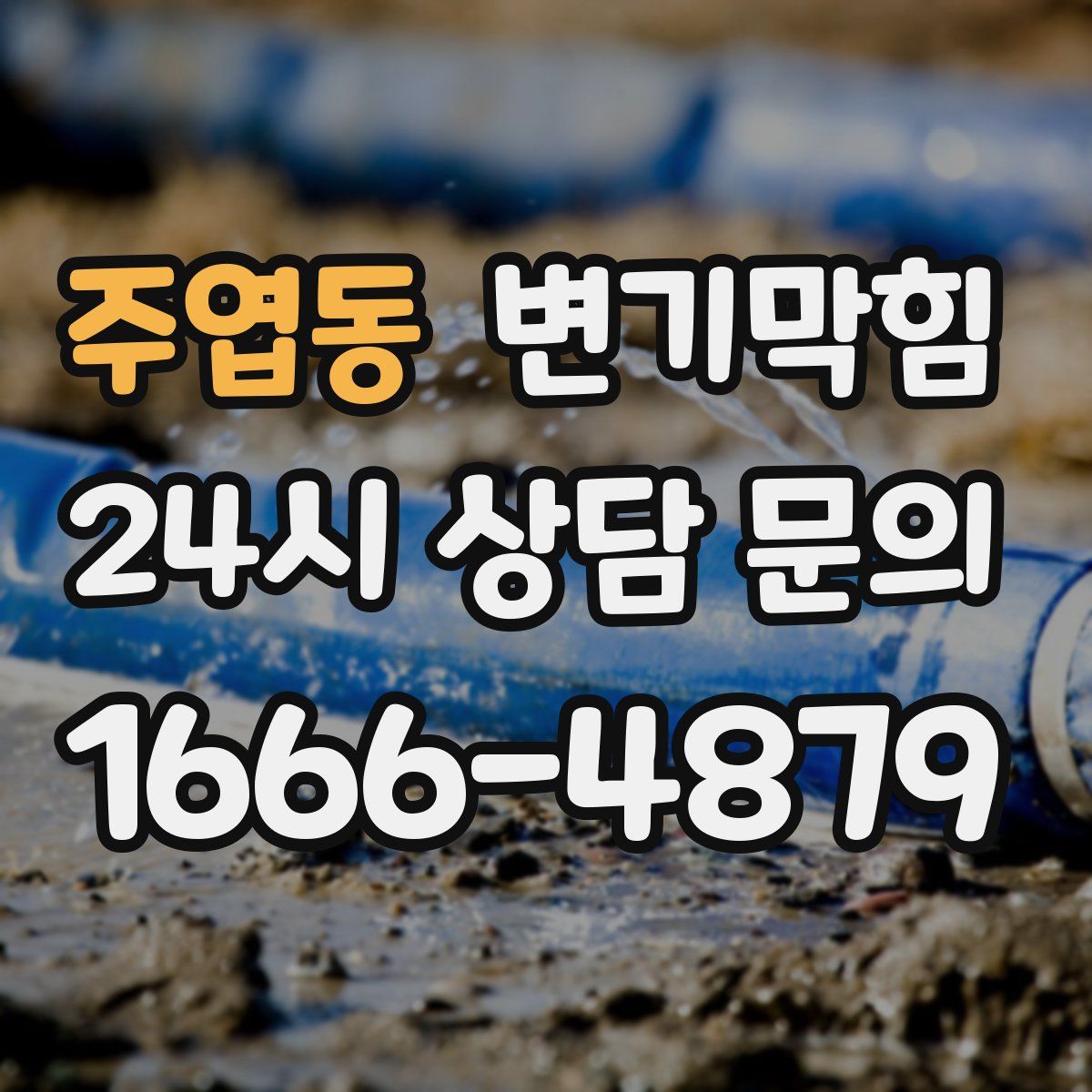 주엽동 변기막힘